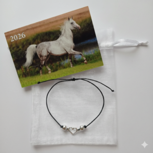 Dovana sėkmės apyrankė ir 2026 metų kalendorius