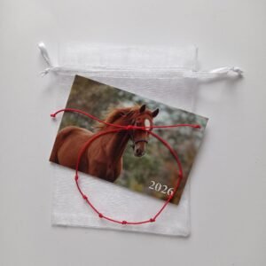 Dovana sėkmės apyrankė ir 2026 metų kalendorius