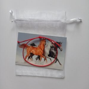 Dovana sėkmės apyrankė ir 2026 metų kalendorius